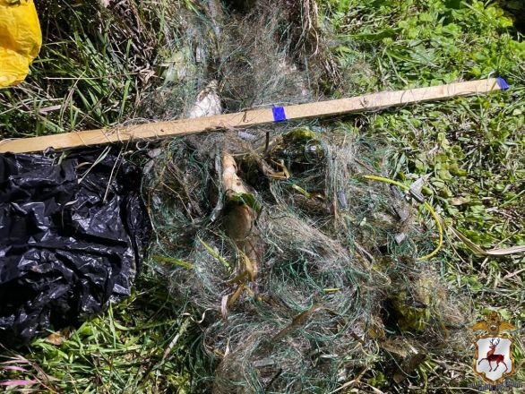 Уголовное дело завели на рыбака в Нижегородской области - фото 2