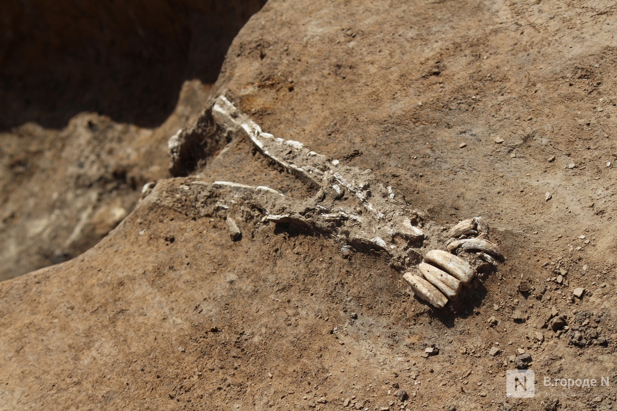 Беспилотники помогли раскрыть 65 захоронений муромы под Нижним Новгородом - фото 1