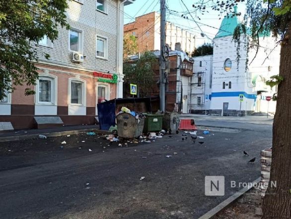 Нижегородцы пожаловались на ужасное состояние мусорной площадки на улице Фрунзе - фото 2