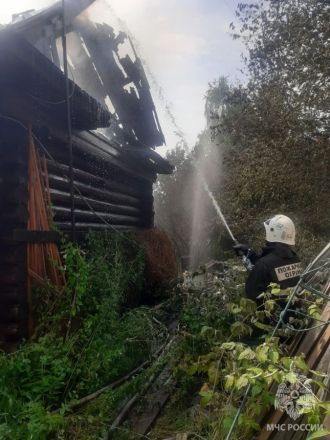 Тело женщины обнаружили после пожара в частном доме в Нижегородской области - фото 3
