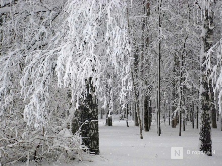 Снегопады в Нижнем Новгороде будут идти всю неделю