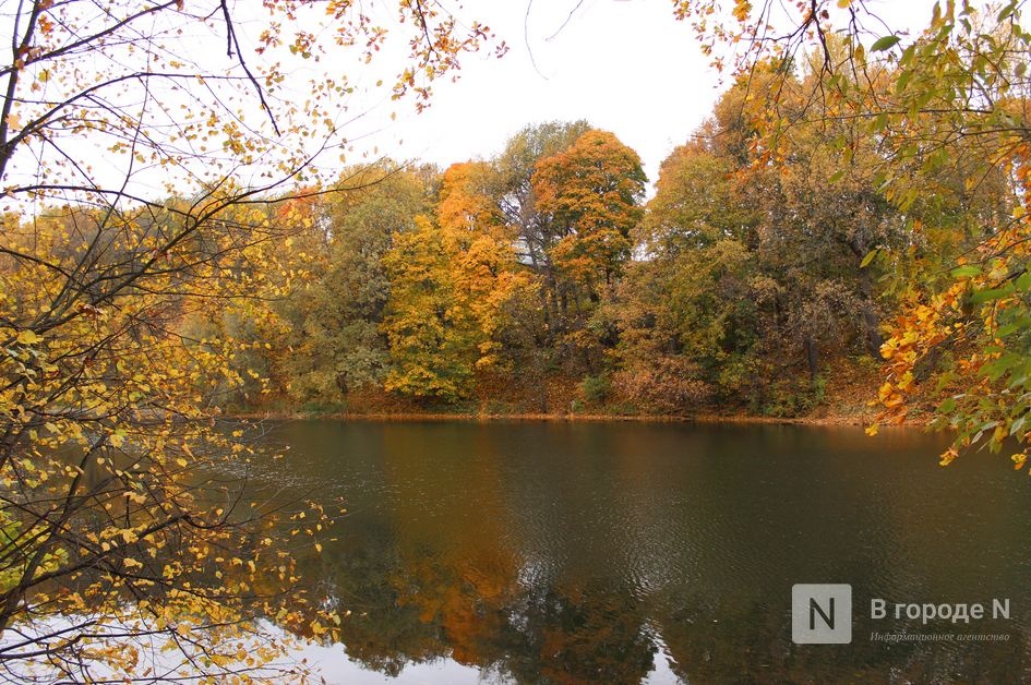 Потепление пообещали нижегородцам в последние выходные октября