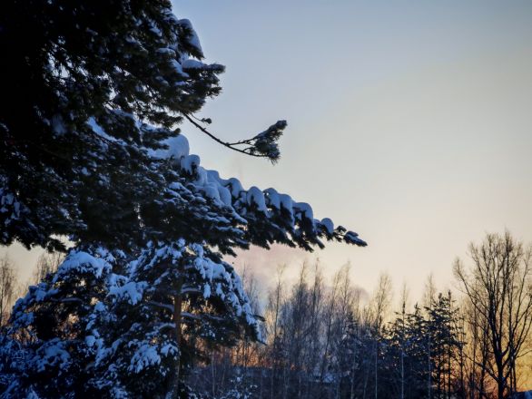 Аномальные морозы в Нижнем Новгороде: фоторепортаж из заснеженных парков - фото 42