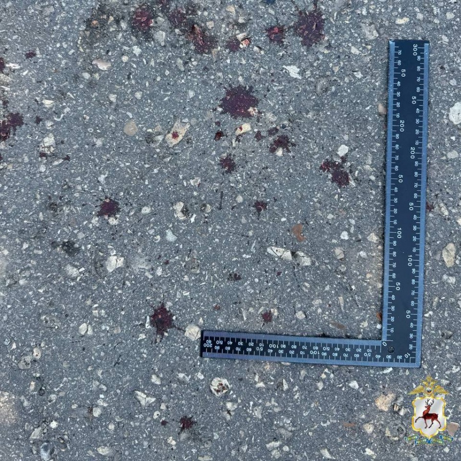 Двое неизвестных расстреляли мужчину на улице в Богородске - фото 1