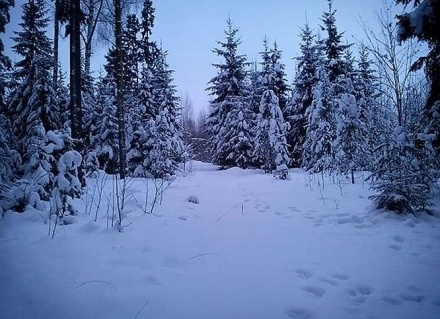 Оттепель и снегопады ожидаются в Нижнем Новгороде