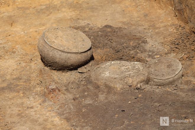 Могилы коней и старинные монеты: фоторепортаж с археологических раскопок в Нижегородской области - фото 13