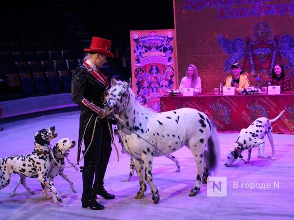 Возвращение &laquo;Бурлеска&raquo;: Нижегородский цирк открывается уникальным шоу Гии Эрадзе - фото 6