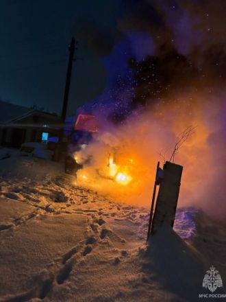 Мужчина погиб после возгорания фуры в Нижегородской области - фото 2