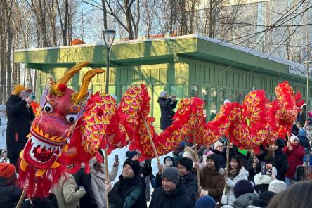 Иностранные студенты Мининского университета поучаствовали в праздновании Китайского нового года