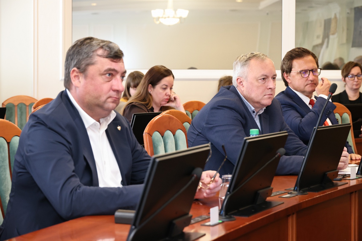 Более 1 100 участков выдали нижегородским многодетным семьям в 2025 году - фото 1