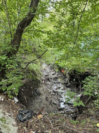 Нижегородский депутат Гриневич обеспокоена состоянием малых рек - фото 2