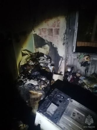 40 человек эвакуировали из горящего дома в Нижнем Новгороде - фото 3