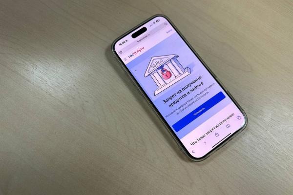 Как это работает?! Тестируем самозапрет на кредиты на Госуслугах